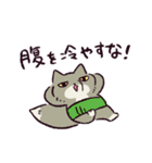 【毎年使える！】年末年始のチベスナ(再販)（個別スタンプ：40）