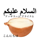 国産玉ねぎ【アラビア語】（個別スタンプ：1）