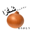 国産玉ねぎ【アラビア語】（個別スタンプ：2）