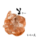 国産玉ねぎ【アラビア語】（個別スタンプ：6）