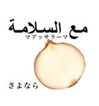 国産玉ねぎ【アラビア語】（個別スタンプ：7）
