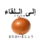 国産玉ねぎ【アラビア語】（個別スタンプ：8）