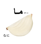 国産玉ねぎ【アラビア語】（個別スタンプ：10）