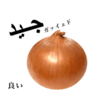 国産玉ねぎ【アラビア語】（個別スタンプ：11）
