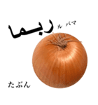 国産玉ねぎ【アラビア語】（個別スタンプ：14）