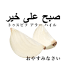 国産玉ねぎ【アラビア語】（個別スタンプ：16）