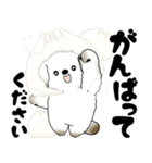 犬さん 2025 「冬・年末」（個別スタンプ：10）