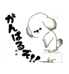 犬さん 2025 「冬・年末」（個別スタンプ：13）