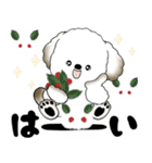 犬さん 2025 「冬・年末」（個別スタンプ：24）