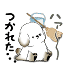 犬さん 2025 「冬・年末」（個別スタンプ：29）