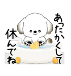 犬さん 2025 「冬・年末」（個別スタンプ：37）