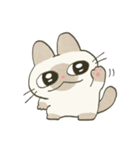 もちっとシャム猫（個別スタンプ：1）