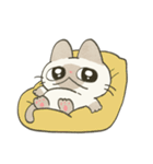 もちっとシャム猫（個別スタンプ：5）