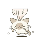 もちっとシャム猫（個別スタンプ：6）