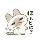 もちっとシャム猫（個別スタンプ：11）