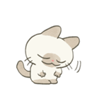 もちっとシャム猫（個別スタンプ：12）