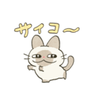 もちっとシャム猫（個別スタンプ：13）