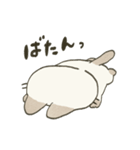 もちっとシャム猫（個別スタンプ：14）