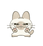 もちっとシャム猫（個別スタンプ：16）