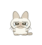 もちっとシャム猫（個別スタンプ：19）