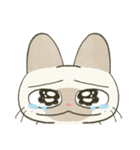 もちっとシャム猫（個別スタンプ：20）