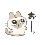 もちっとシャム猫（個別スタンプ：24）
