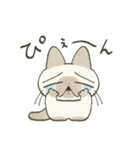 もちっとシャム猫（個別スタンプ：32）