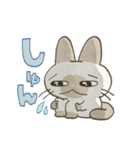 もちっとシャム猫（個別スタンプ：33）