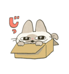 もちっとシャム猫（個別スタンプ：37）
