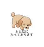 使いやすい敬語のトイプー②(アプリコット)（個別スタンプ：3）