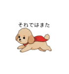 使いやすい敬語のトイプー②(アプリコット)（個別スタンプ：5）