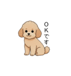 使いやすい敬語のトイプー②(アプリコット)（個別スタンプ：7）