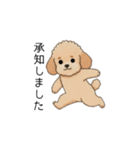 使いやすい敬語のトイプー②(アプリコット)（個別スタンプ：11）