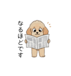 使いやすい敬語のトイプー②(アプリコット)（個別スタンプ：12）