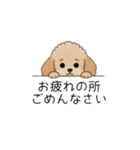 使いやすい敬語のトイプー②(アプリコット)（個別スタンプ：16）