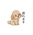 使いやすい敬語のトイプー②(アプリコット)（個別スタンプ：19）