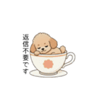 使いやすい敬語のトイプー②(アプリコット)（個別スタンプ：21）