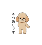 使いやすい敬語のトイプー②(アプリコット)（個別スタンプ：22）