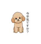 使いやすい敬語のトイプー②(アプリコット)（個別スタンプ：25）