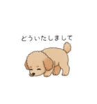 使いやすい敬語のトイプー②(アプリコット)（個別スタンプ：26）