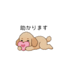 使いやすい敬語のトイプー②(アプリコット)（個別スタンプ：27）