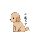 使いやすい敬語のトイプー②(アプリコット)（個別スタンプ：28）