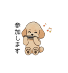 使いやすい敬語のトイプー②(アプリコット)（個別スタンプ：29）