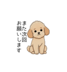 使いやすい敬語のトイプー②(アプリコット)（個別スタンプ：30）