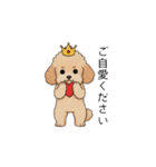 使いやすい敬語のトイプー②(アプリコット)（個別スタンプ：33）