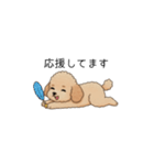 使いやすい敬語のトイプー②(アプリコット)（個別スタンプ：34）