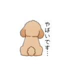 使いやすい敬語のトイプー②(アプリコット)（個別スタンプ：35）