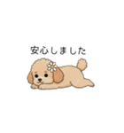 使いやすい敬語のトイプー②(アプリコット)（個別スタンプ：37）