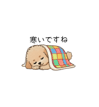 使いやすい敬語のトイプー②(アプリコット)（個別スタンプ：39）