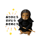 ハムさん剣道はじめました（個別スタンプ：1）